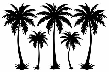 palm tree set line art silhouette vector illustration