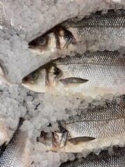 Exquisite Fresh Seafood Display on Ice Showcasing Culinary Delights for Everyone. A diverse and array of fresh fish artfully displayed on ice, perfect for gourmet meals and seafood enthusiasts