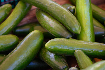 Freshly harvested cucumbers displayed at a local market in the warm afternoon sun