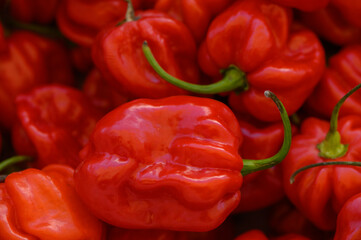 Vibrant red habanero peppers arranged artfully at a local market in the heart of summer