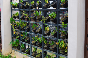 A wall with a black metal fence and a green plant wall