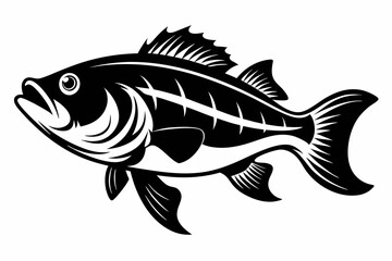 largemouth fish line art silhouette vector illustration