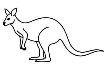 Abstract Kangaroo Linework
