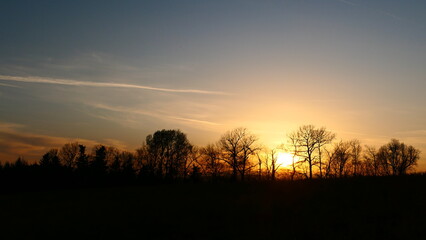 Baumsilhouetten in der Abendsonne, Bucklige Welt in Niederösterreich