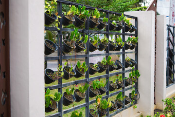 A wall with a black metal fence and a green plant wall