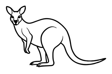 Abstract Kangaroo Linework