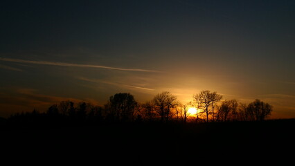 Fototapeta premium Baumsilhouetten in der untergehenden Abendsonne, Bucklige Welt in Niederösterreich
