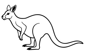 Abstract Kangaroo Linework