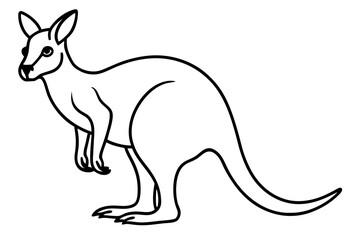 Abstract Kangaroo Linework