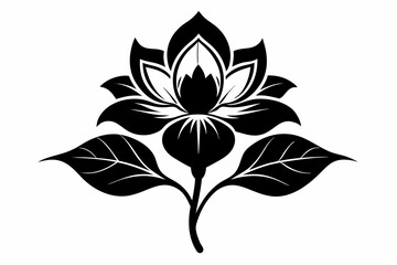 zephyrettes flower line art silhouette vector illustration