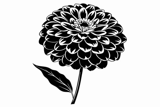 black and white flower on white background clip art preview