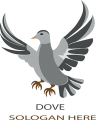 Dove logo icon vector .