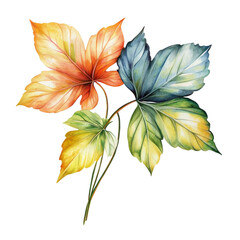 Fototapeta premium Vibrant Autumn Leaves Watercolor Painting Botanical Art Nature Beauty