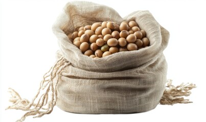 Soybeans in a burlap sack (1)