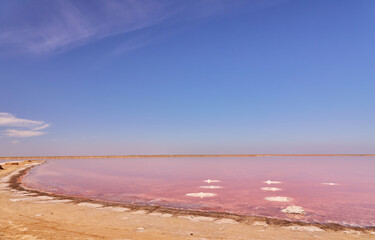 Pink Salt Lake and Shoreline