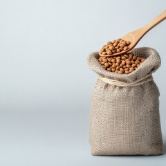 Holistic cat nutrition, a wooden spoon scooping natural kibble from an eco-friendly bag, minimalist background