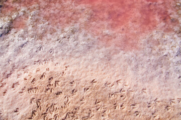 Textured Salt and Pink Water Edge