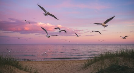 Fototapeta premium Serene seaside twilight: majestic seagulls in flight over tranquil ocean at sunset