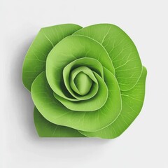 Fototapeta premium Eco-Friendly Floral Design: Modern Botanical Illustrations with Green Leaf and Rose Elements