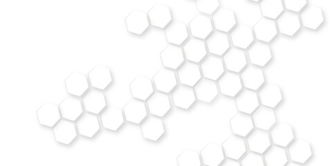 abstract hexagonal geometric mesh cell texture. modern futuristic wallpaper, futuristic nature background modern and sophisticated pattern in bright, beautiful geometric pattern white gray hexagonal.
