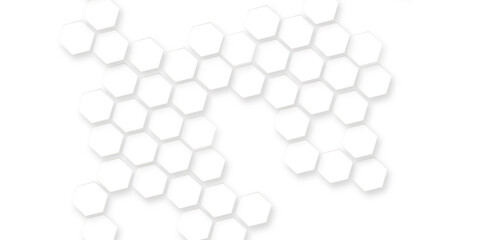 abstract hexagonal geometric mesh cell texture. modern futuristic wallpaper, futuristic nature background modern and sophisticated pattern in bright, beautiful geometric pattern white gray hexagonal.