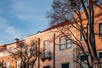 A close-up view of a pastel-colored building with windows and a decorative balcony, framed by leafless trees in the soft afternoon sunlight