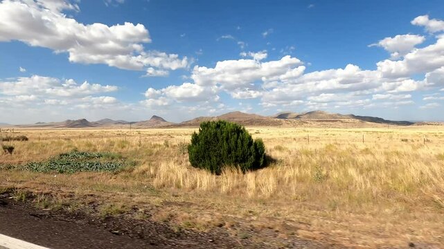 New Mexico Driving 0993 San Antonio Datil