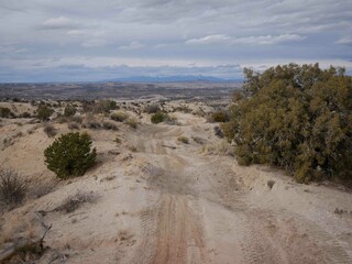Dirt off-roading trail in Aztec New Mexico with pinyon trees in desert landscape with view of snow capped La Plata Mountains