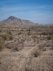Trail through flat desert terrain in southwest Phoenix Arizona near Buckeye with mountain backdrop