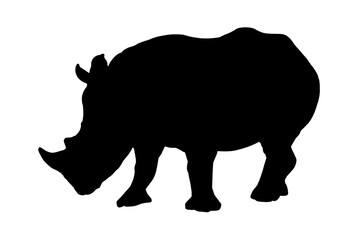 silhouette of an African rhinoceros - vector illustration







