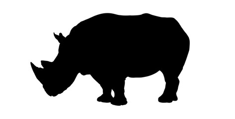 silhouette of an African rhinoceros - vector illustration







