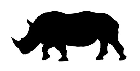 silhouette of an African rhinoceros - vector illustration







