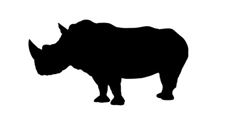 silhouette of an African rhinoceros - vector illustration







