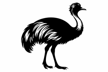 bird emu line art silhouette vector illustration