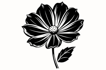 cosmos flower line art silhouette vector illustration