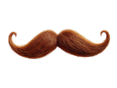 Isolated Brown Mustache