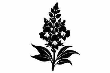 snapdragon flower line art silhouette vector illustration