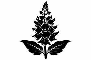snapdragon flower line art silhouette vector illustration