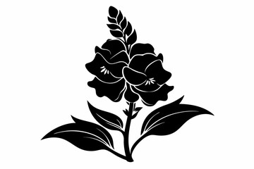 snapdragon flower line art silhouette vector illustration