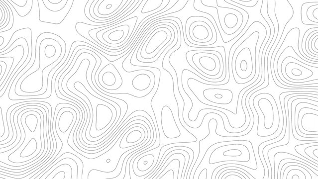 Geography landscape Topo contour map on white background, Topographic contour lines. Abstract topography contour map line and modern wavy map line design, geography map contour wave line white backgro