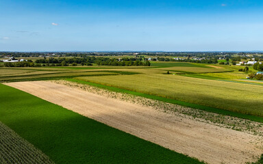 Green Fields and Farmland Stretch Across the Landscape in a Rural Setting Under a Clear Blue Sky