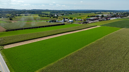 Obraz premium Vibrant Green Farmland With Rolling Hills and a Steam Train Passing Under a Clear Sky on a Sunny Day Near a Rural Town