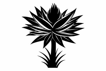yucca flower line art silhouette vector illustration