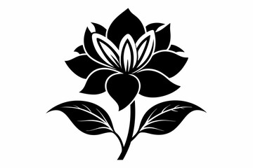 zephyrettes flower line art silhouette vector illustration