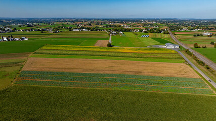 Obraz premium Vast Agricultural Landscape Featuring Vibrant Fields and Distant Farmhouses in a Rural Area Under Clear Blue Skies