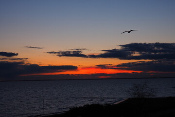 sunset over the sea