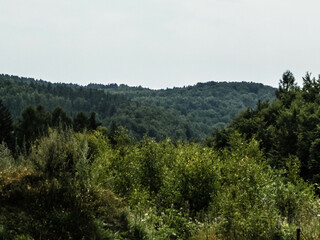 Forest and hills in Wiezyca, Kashubian Region, Poland.