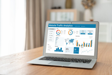 Computer software for website traffic analytics data on computer screen. Concept of SEO search...