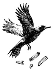 Naklejka premium Elegant crow in flight over scattered twigs in a tranquil forest environment during early morning light