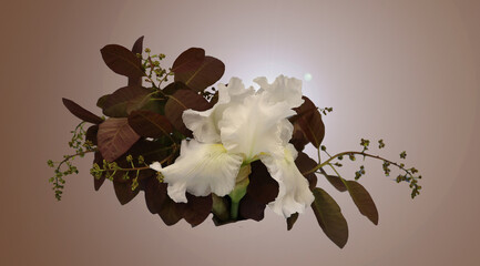photo of white iris arranged with burgandy leaves design looks like bouquet or corsage

